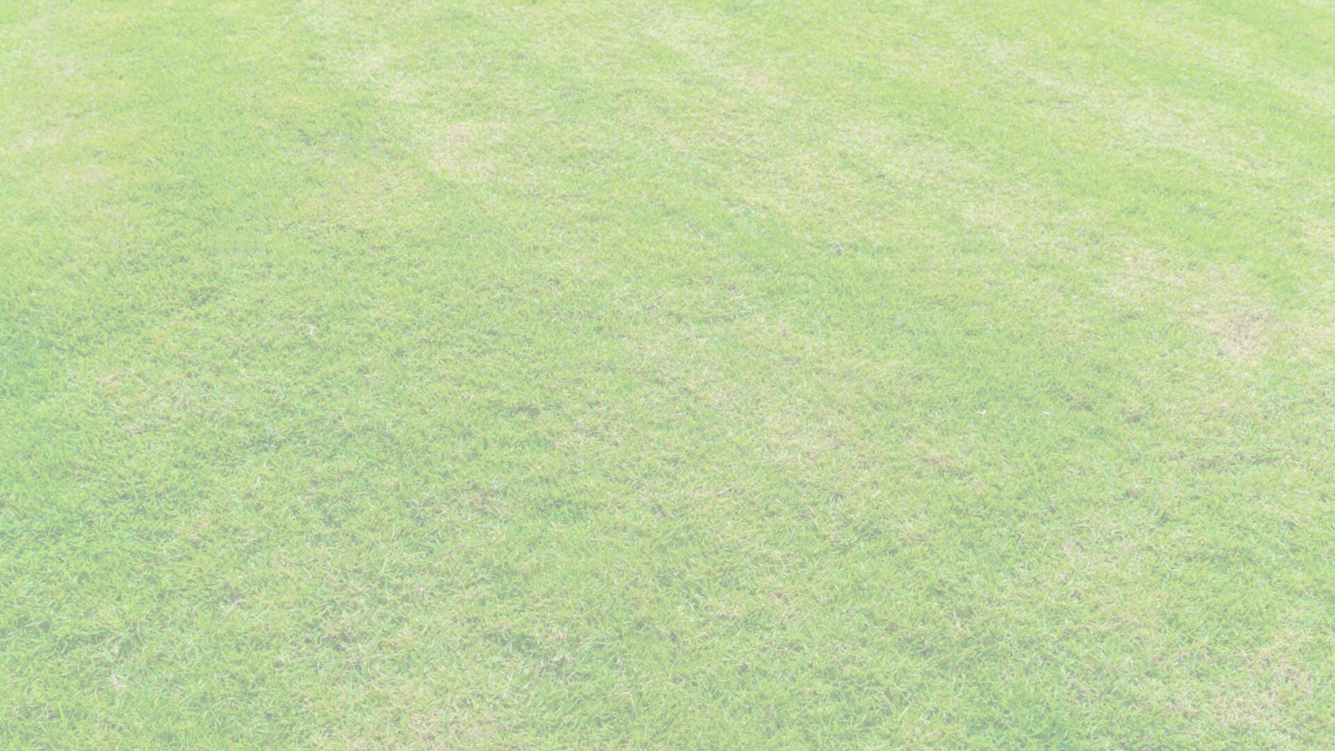 スタッフ
