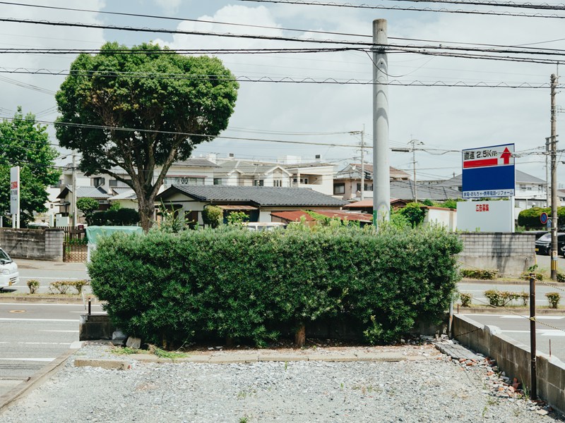 剪定