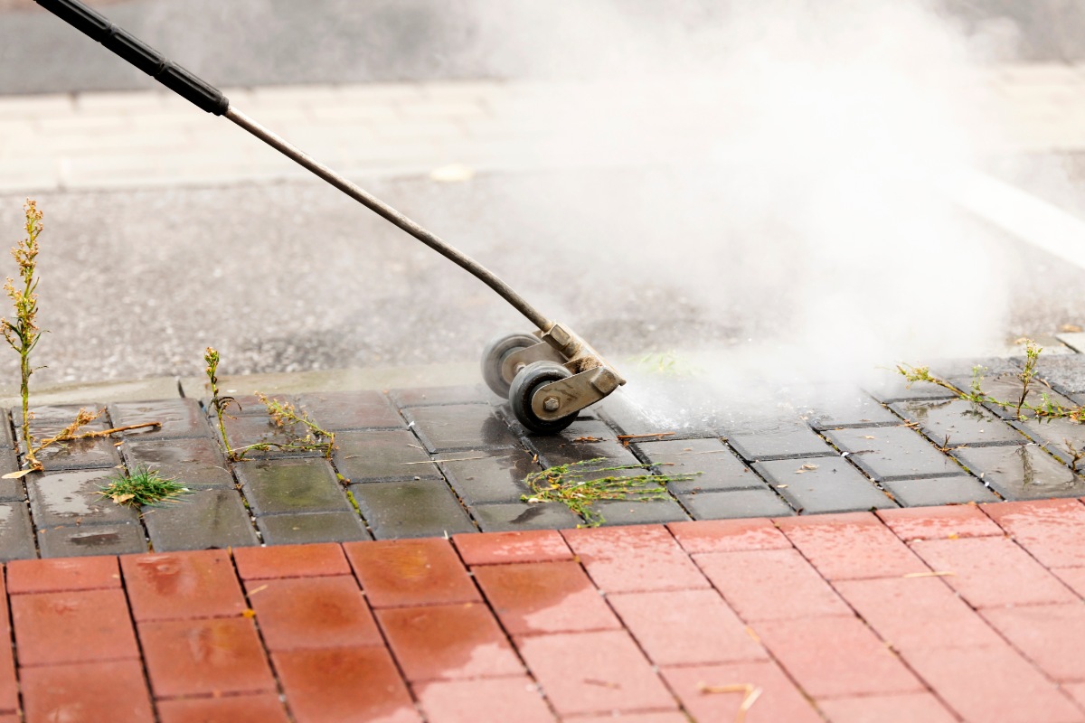 剪定