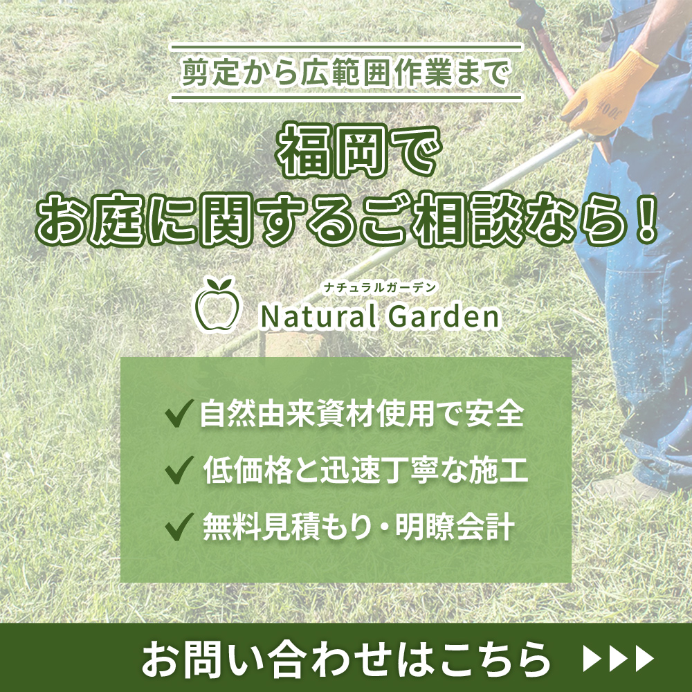 modal_banner